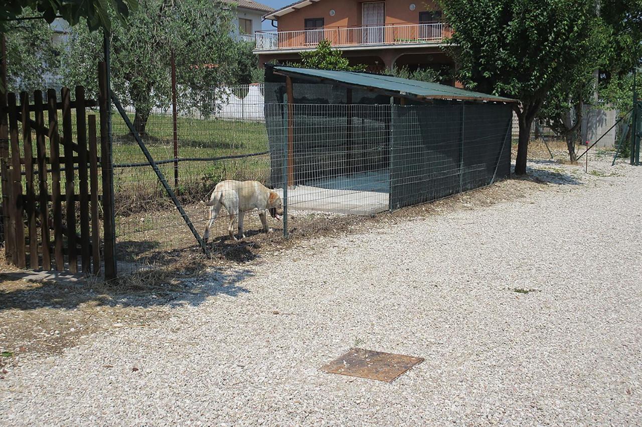 Lempa Villa Degli Ulivi מראה חיצוני תמונה